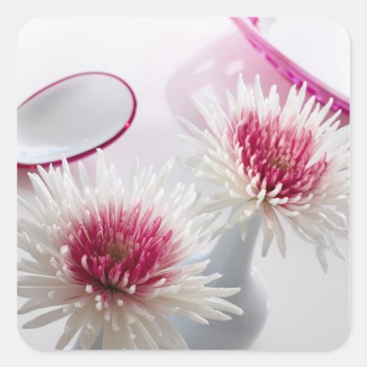Chrysanthemums Quadratischer Aufkleber (Vorderseite)