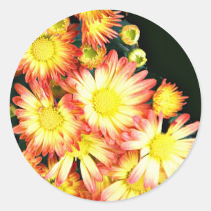 Chrysanthemums Runder Aufkleber