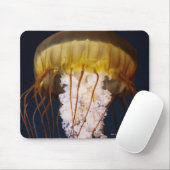 Chrysaora fuscescens, Pazifik Mousepad (Mit Mouse)