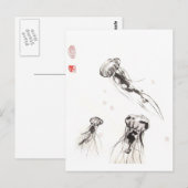Chrysaora Jellyfish Postkarte (Vorne/Hinten)