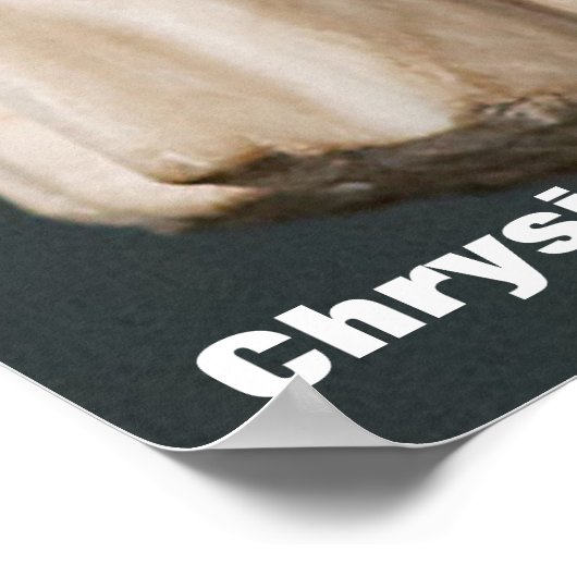 Chrysippus / Griechischer Philosoph Poster (Ecke)