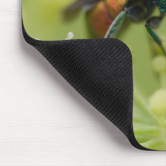 Chrysis austriaca mousepad (Ecke)