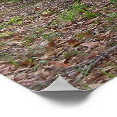 Chrysler PT Cruiser 2004 Limited Edition Car Poste Poster (Ecke)