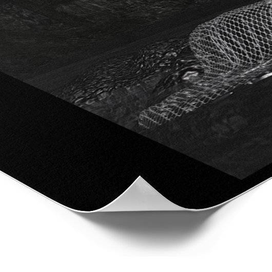 Chrystalin Poster (Ecke)