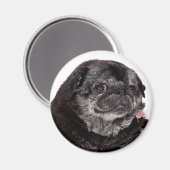 Chubbs The Wampug Magnet (Vorderseite/Rückseite)