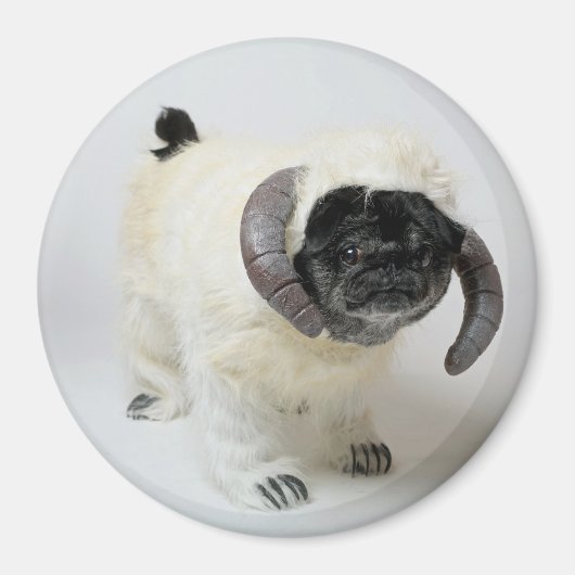 Chubbs The Wampug Magnet (Vorne)