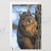 Chubby Briefpapier (Vorne/Hinten)