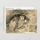 Chubby Bunny Challenge - Postkarte (Vorne/Hinten)