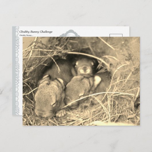 Chubby Bunny Challenge - Postkarte (Vorne/Hinten)