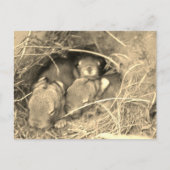 Chubby Bunny Challenge - Postkarte (Vorderseite)