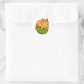 Chubby Cat on Watermelon Meme Shirt Runder Aufkleber (Tasche)