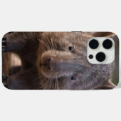 "Chubby Charm: Die Adorable Australian Wombat" Case-Mate iPhone Hülle (Rückseite (Horizontal))