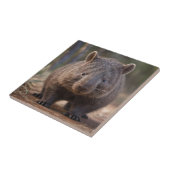 "Chubby Charm: Die Adorable Australian Wombat" Fliese (Seite)