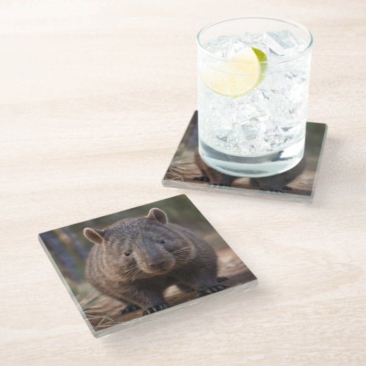 "Chubby Charm: Die Adorable Australian Wombat" Glasuntersetzer (Schrägansicht)