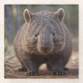 "Chubby Charm: Die Adorable Australian Wombat" Glasuntersetzer (Vorderseite)