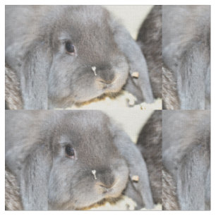 Chubby Cheeks Stoff