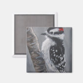 Chubby Downy Woodpecker - Magnet (Vorderseite/Rückseite)