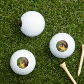 Chubby Eichhörnchen, Golfplätze Golfball (Insitu Gras)