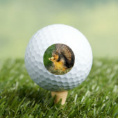 Chubby Eichhörnchen, Golfplätze Golfball (Insitu T-Shirt)