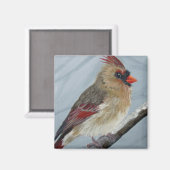 Chubby Female Kardinal - Magnet (Vorderseite/Rückseite)