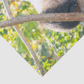 Chubby Giant Panda in einem Baumgeflecht Seidenpapier (Detail)