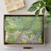 Chubby Giant Panda in einem Baumgeflecht Seidenpapier (Geschenk)