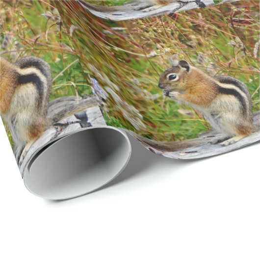 Chubby niedlich Chipmack auf Holzstumpf Geschenkpapier (Rolleneckpunkt)