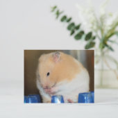 Chubby Postkarte (Stehend Vorderseite)