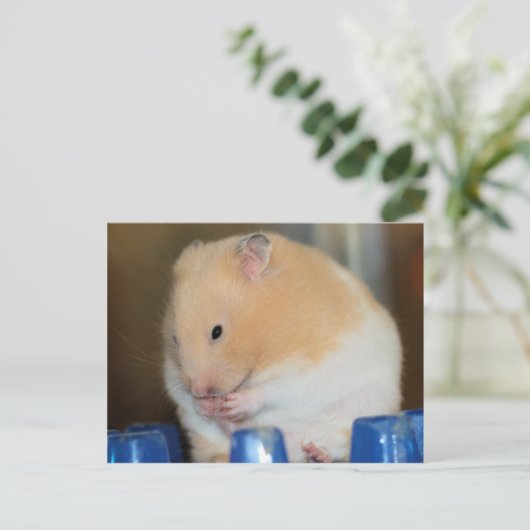 Chubby Postkarte (Stehend Vorderseite)