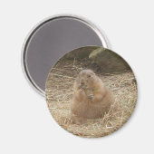 Chubby Prairie Dog Magnet (Vorderseite/Rückseite)
