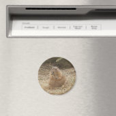 Chubby Prairie Dog Magnet (In Situ (Geschirrspüler))