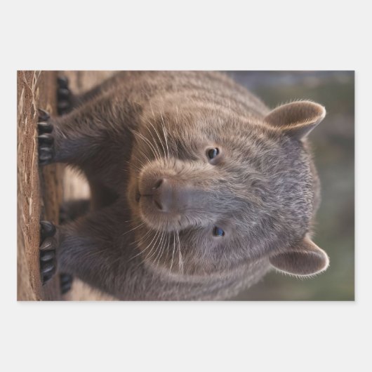 Chubby The Australian Wombat, Geschenkpapier Set (Vorderseite 3)