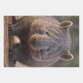 Chubby The Australian Wombat, Geschenkpapier Set (Vorderseite 2)