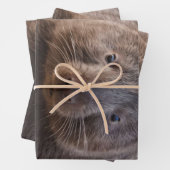 Chubby The Australian Wombat, Geschenkpapier Set (Beispiel)