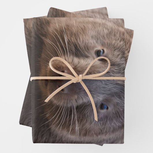 Chubby The Australian Wombat, Geschenkpapier Set (Beispiel)