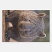 Chubby The Australian Wombat, Geschenkpapier Set (Vorderseite)