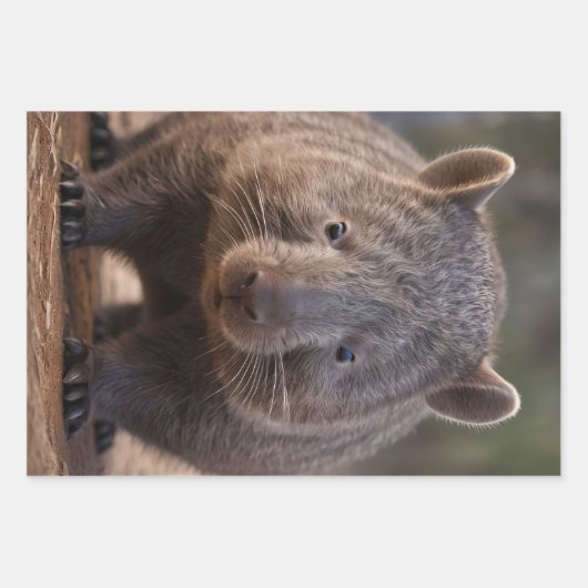 Chubby The Australian Wombat, Geschenkpapier Set (Vorderseite)