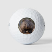 Chubby The Australian Wombat, Golfball (Vorderseite)