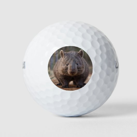 Chubby The Australian Wombat, Golfball (Vorderseite)