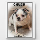 Chuck Fotoplatte (Vorderseite)