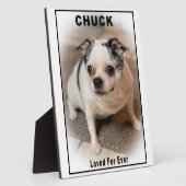 Chuck Fotoplatte (Seite)