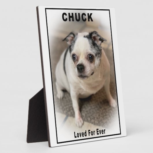 Chuck Fotoplatte (Seite)