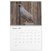 Chuck Nelson Fotografie Kalender (Feb 2027)