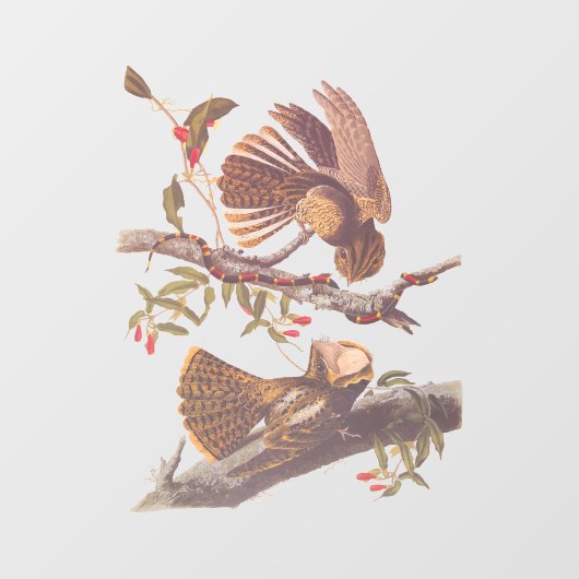 Chuck Will's Widow Nightjar mit Korallenschlange Fensteraufkleber (Blatt)