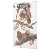 Chuck Will's Widow Nightjar mit Korallenschlange Klemmbrett (Links)