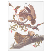 Chuck Will's Widow Nightjar mit Korallenschlange Klemmbrett (Rückseite)