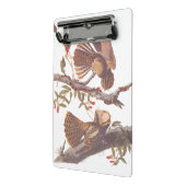 Chuck Will's Widow Nightjar mit Korallenschlange Mini Klemmbrett (Gewinkelt2)