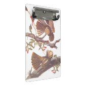 Chuck Will's Widow Nightjar mit Korallenschlange Mini Klemmbrett (Schrägansicht)