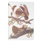 Chuck Will's Widow Nightjar mit Korallenschlange Mini Klemmbrett (Rückseite)