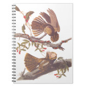 Chuck Will's Widow Nightjar mit Korallenschlange Notizblock (Vorderseite)